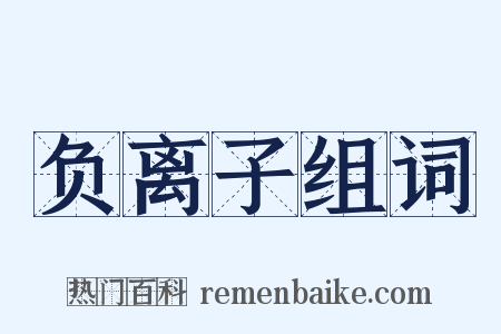 负离子组词是什么意思的图片